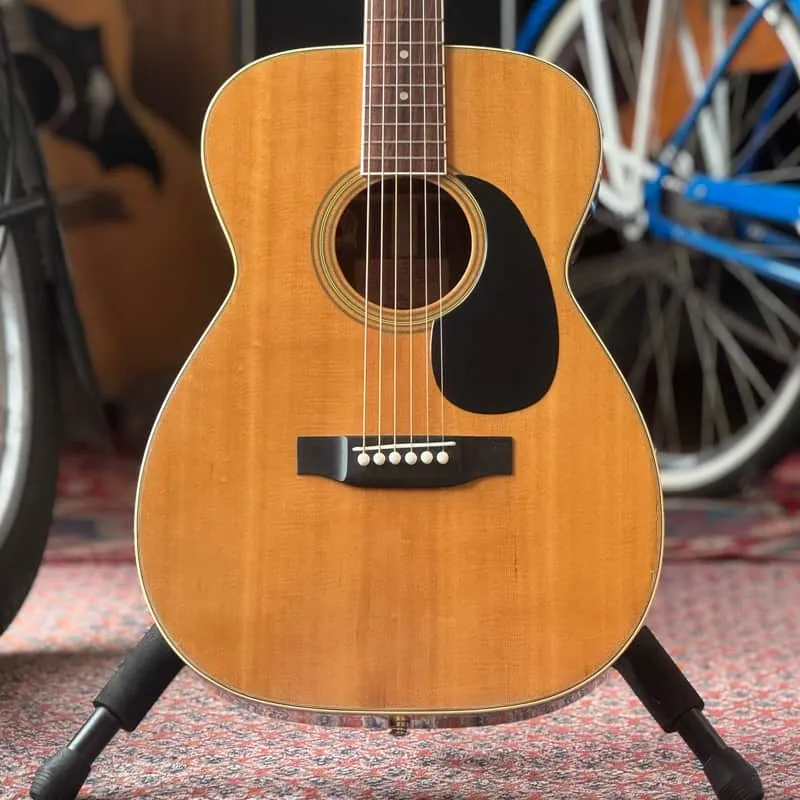 Blue Bell F-300 – Natural, 1978, mit K&K-Tonabnehmer