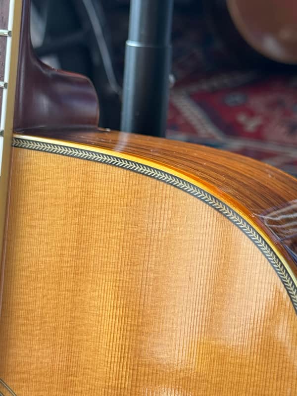 Detail unserer Takamine Elite TW-40G.