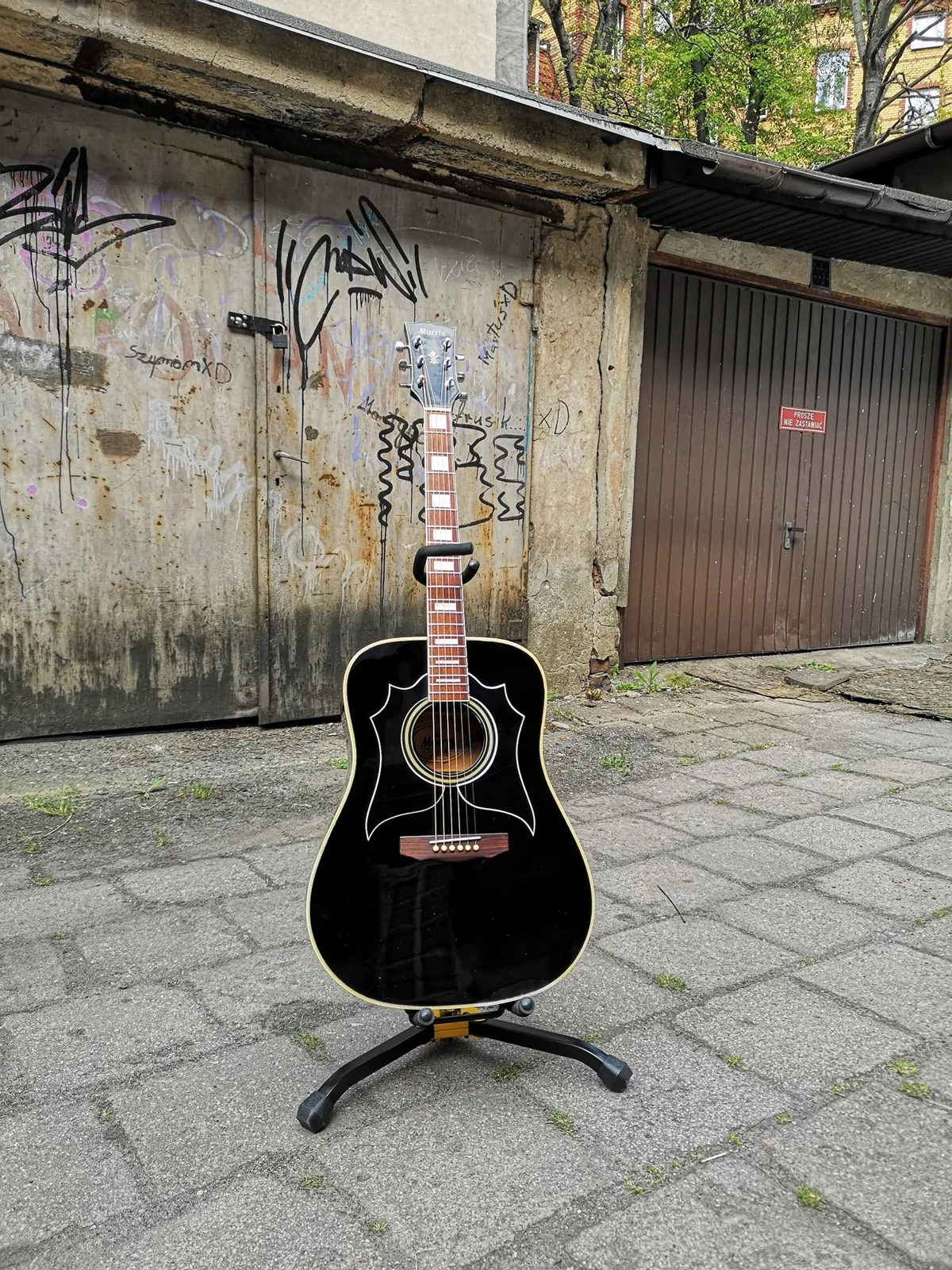 Morris WL-35 — Guitar Lab
