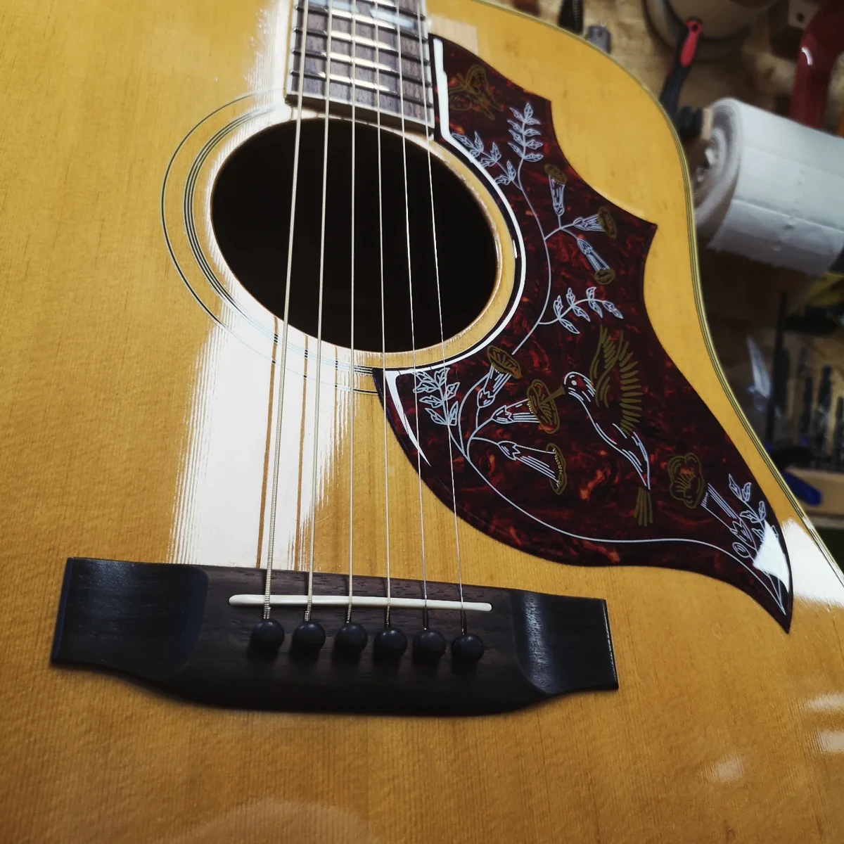 Mountain W350 — Guitar Lab